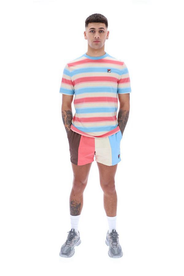 Fila Pietersite Striped Men's T-Shirts - Blue/Multicolor Stripes,NZ 781-78256